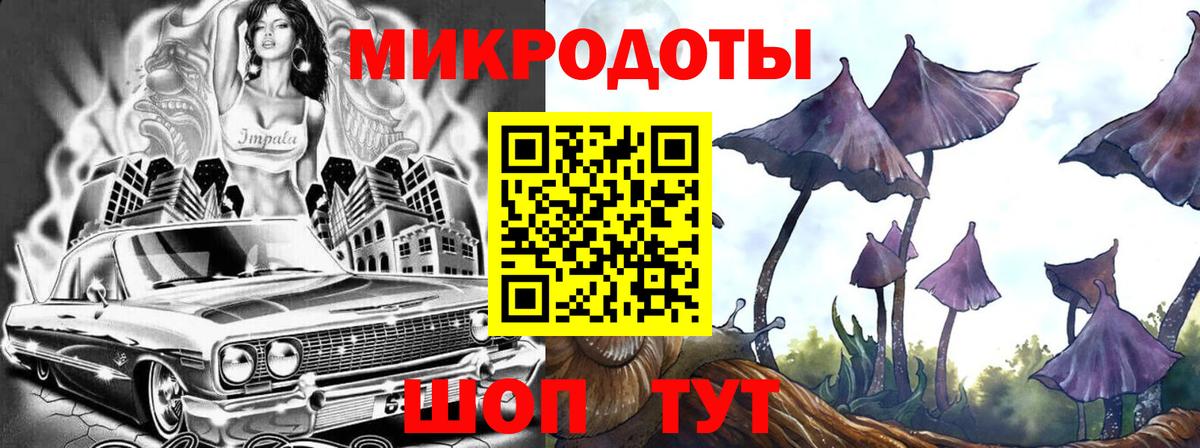 Ярославль  Галлюциногенные грибы ЛСД  Вход с VPN 