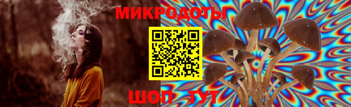 Галлюциногенные грибы мухоморы Ярославль